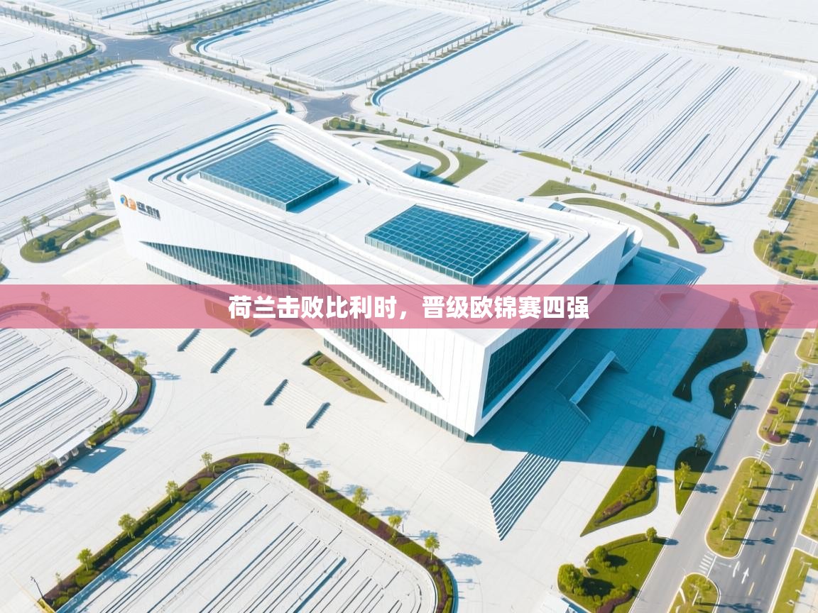 荷兰击败比利时，晋级欧锦赛四强  第1张