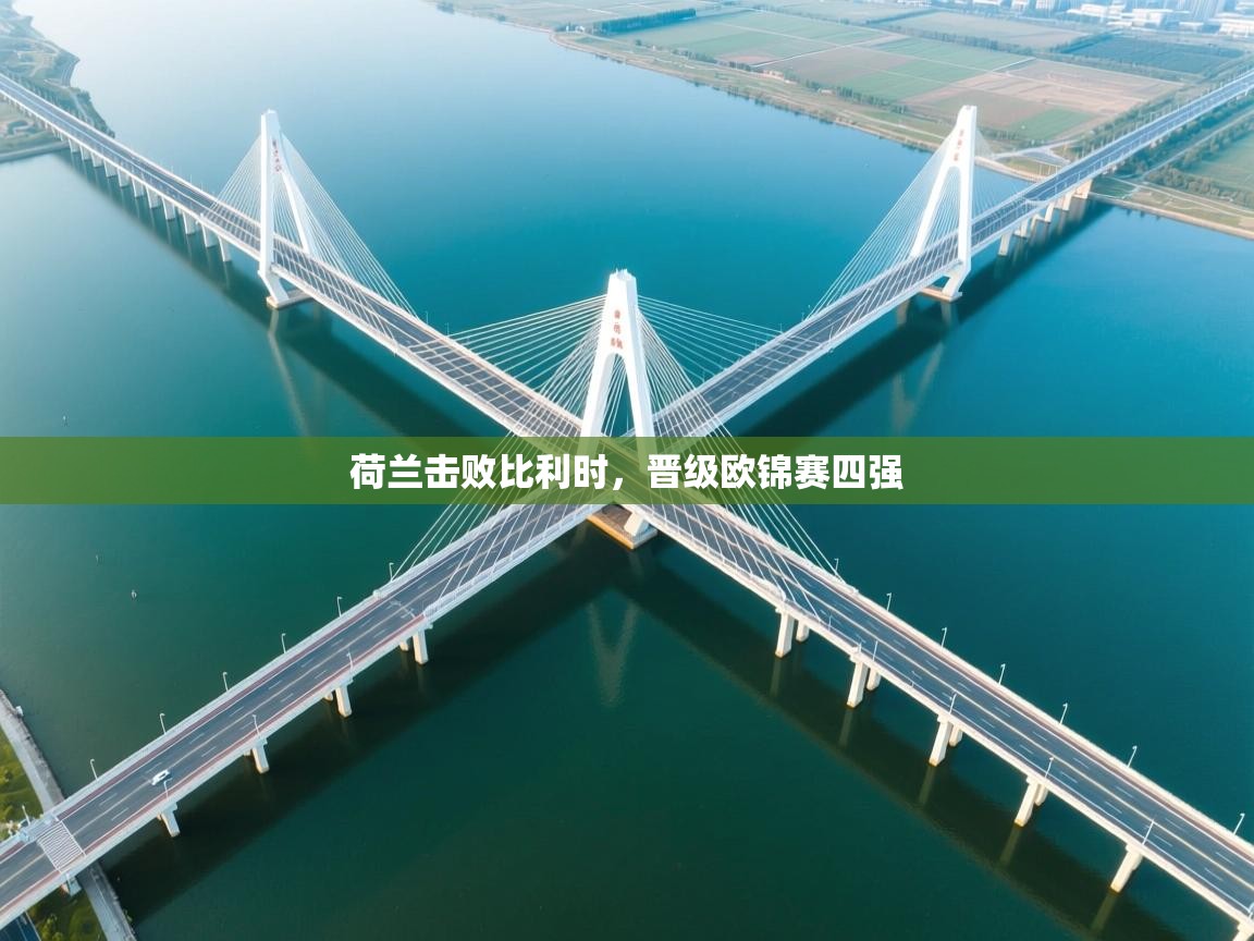 荷兰击败比利时，晋级欧锦赛四强  第2张