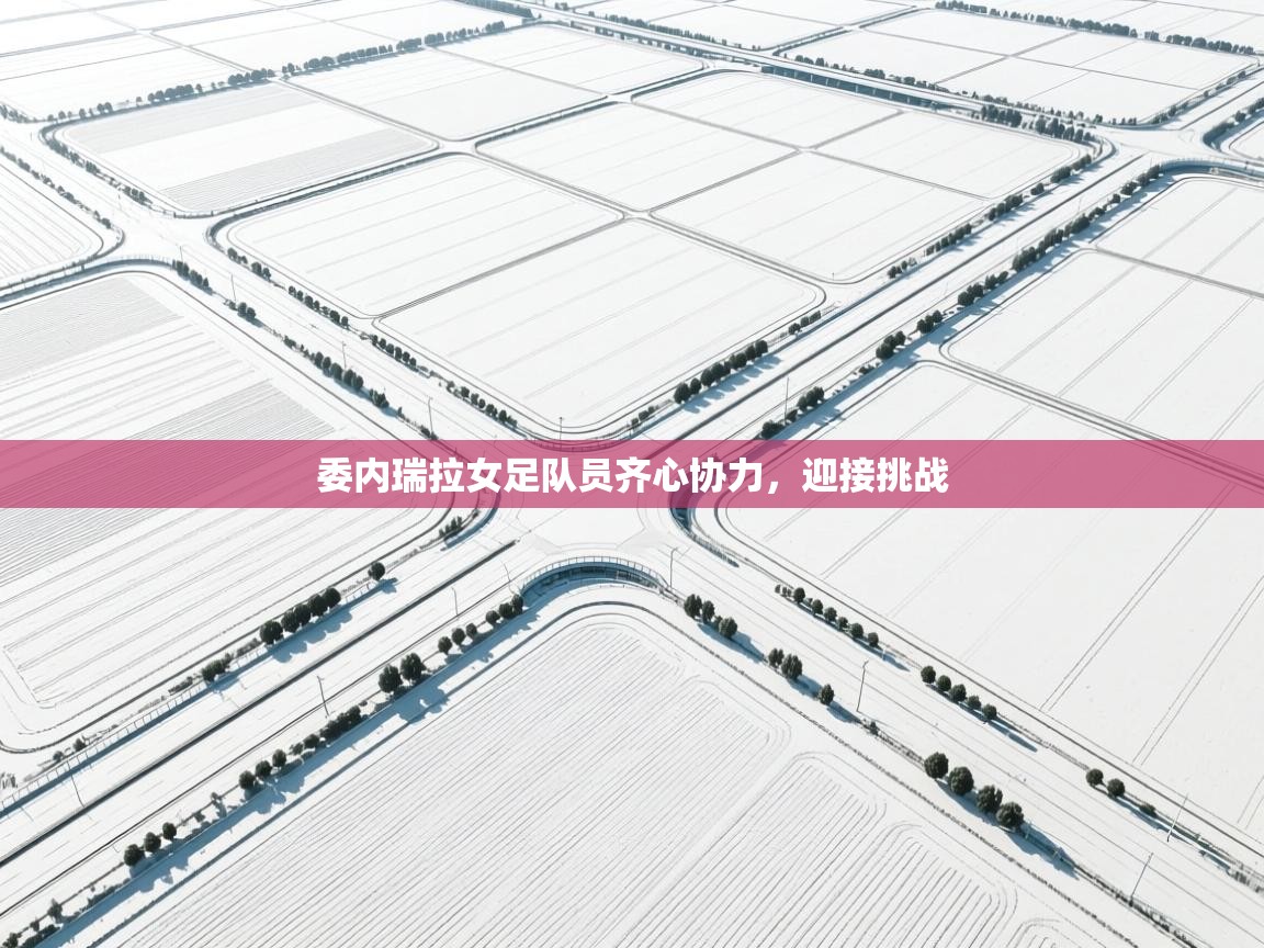 委内瑞拉女足队员齐心协力,迎接挑战 第1张