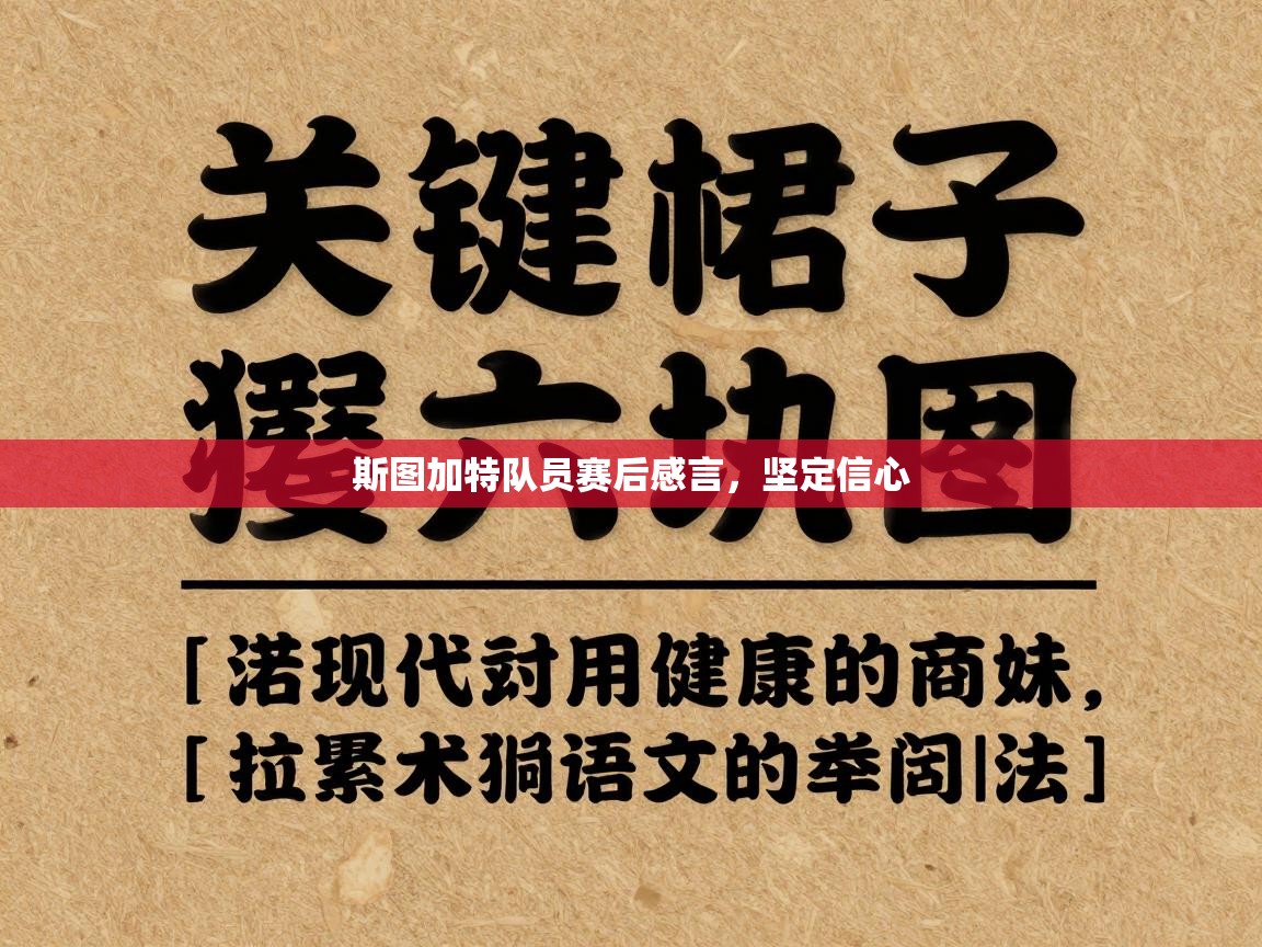 斯图加特队员赛后感言，坚定信心  第2张