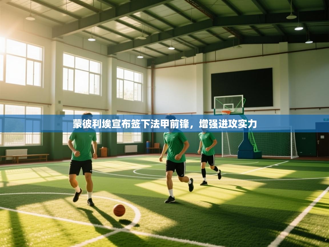 蒙彼利埃宣布签下法甲前锋,增强进攻实力 第1张