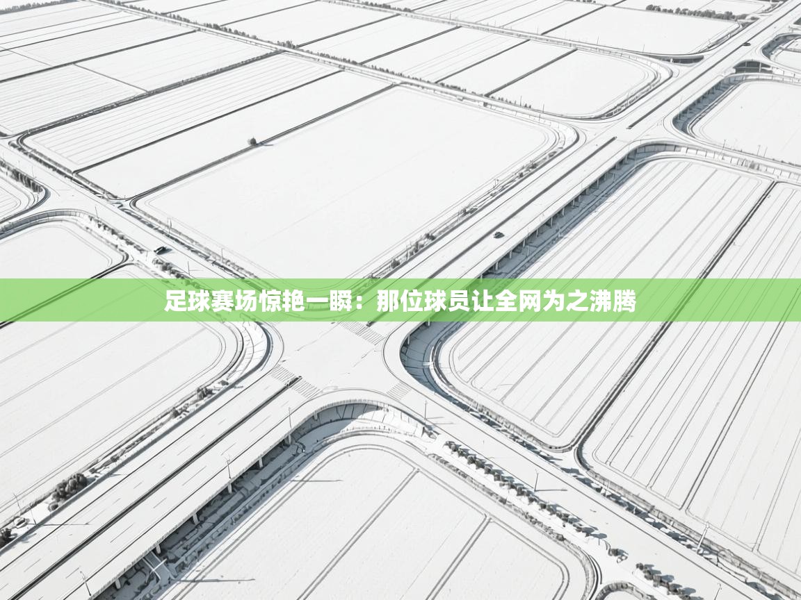 足球赛场惊艳一瞬:那位球员让全网为之沸腾 第1张