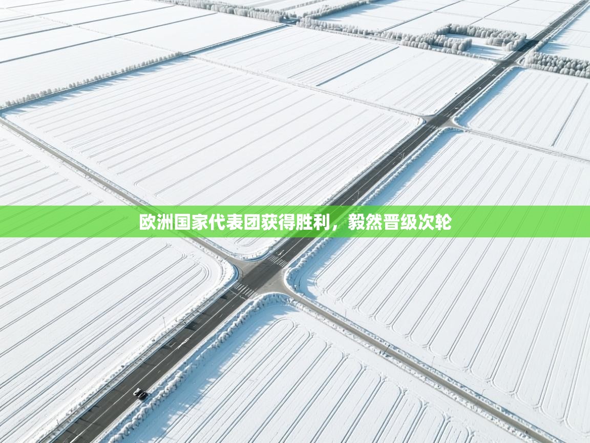 欧洲国家代表团获得胜利,毅然晋级次轮 第1张