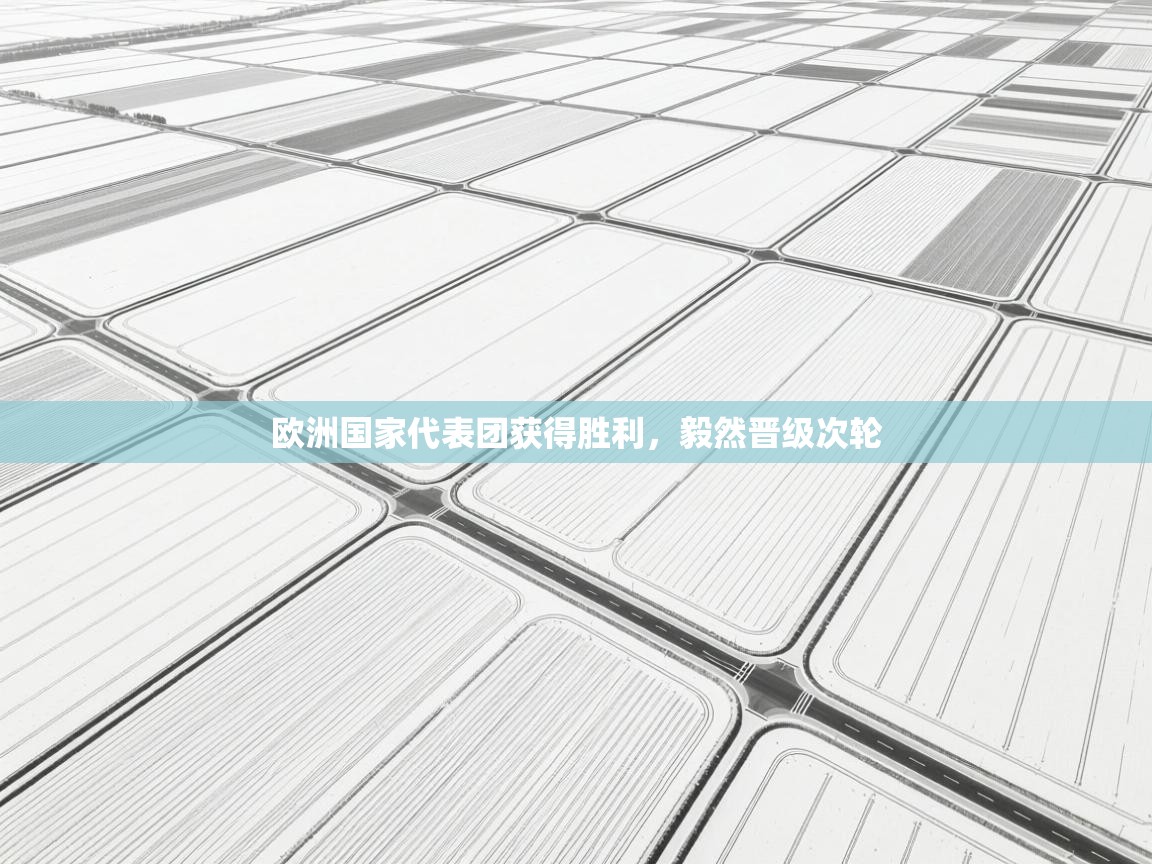 欧洲国家代表团获得胜利,毅然晋级次轮 第2张